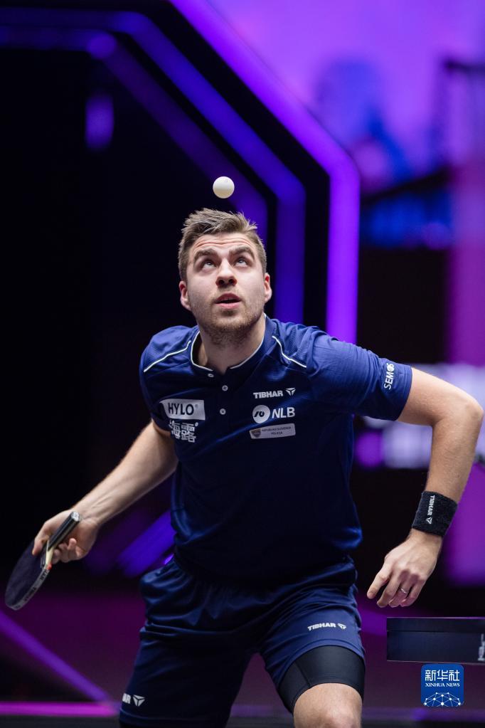 的执教背景 的执教背景