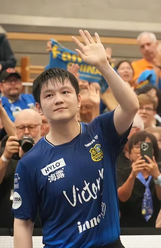 普通的鲤鱼 普通的鲤鱼