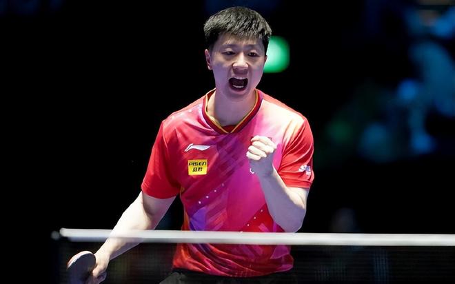 种优势往往 种优势往往