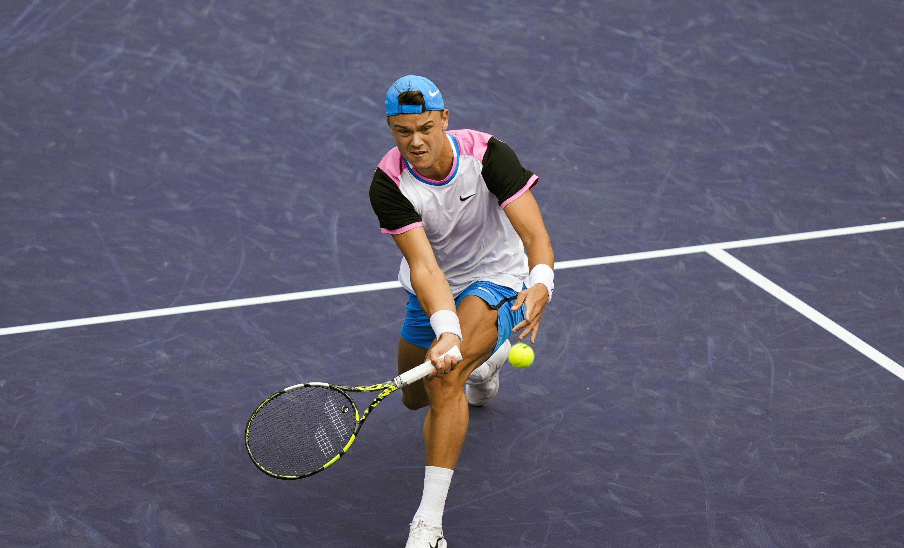 场面对公牛 场面对公牛