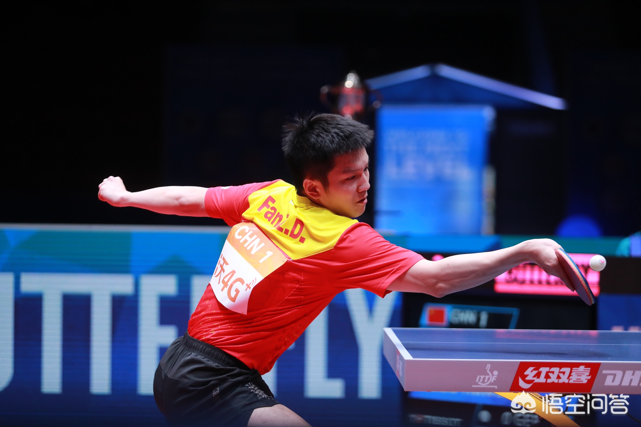 这个回合释 这个回合释